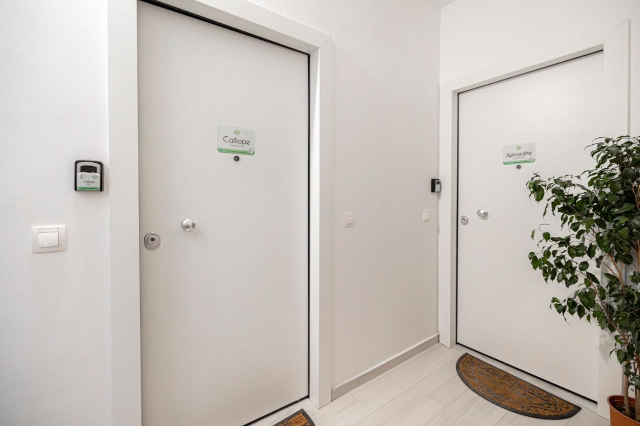 Calliope Apartament *
